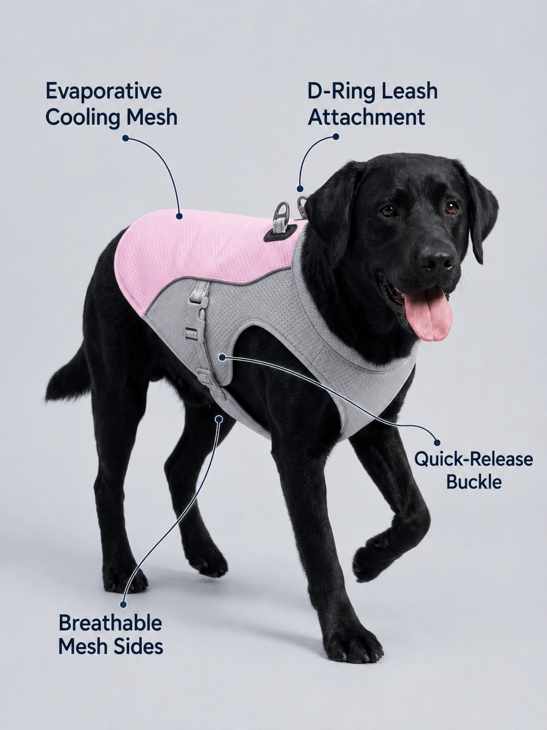 The Cooling Vest