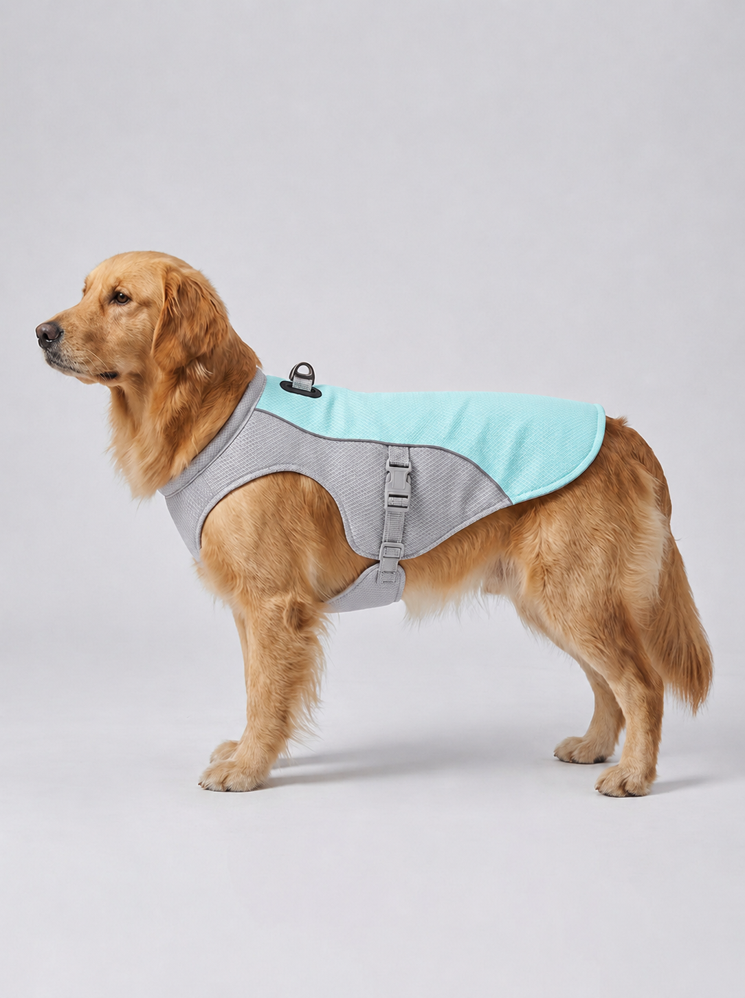 The Cooling Vest