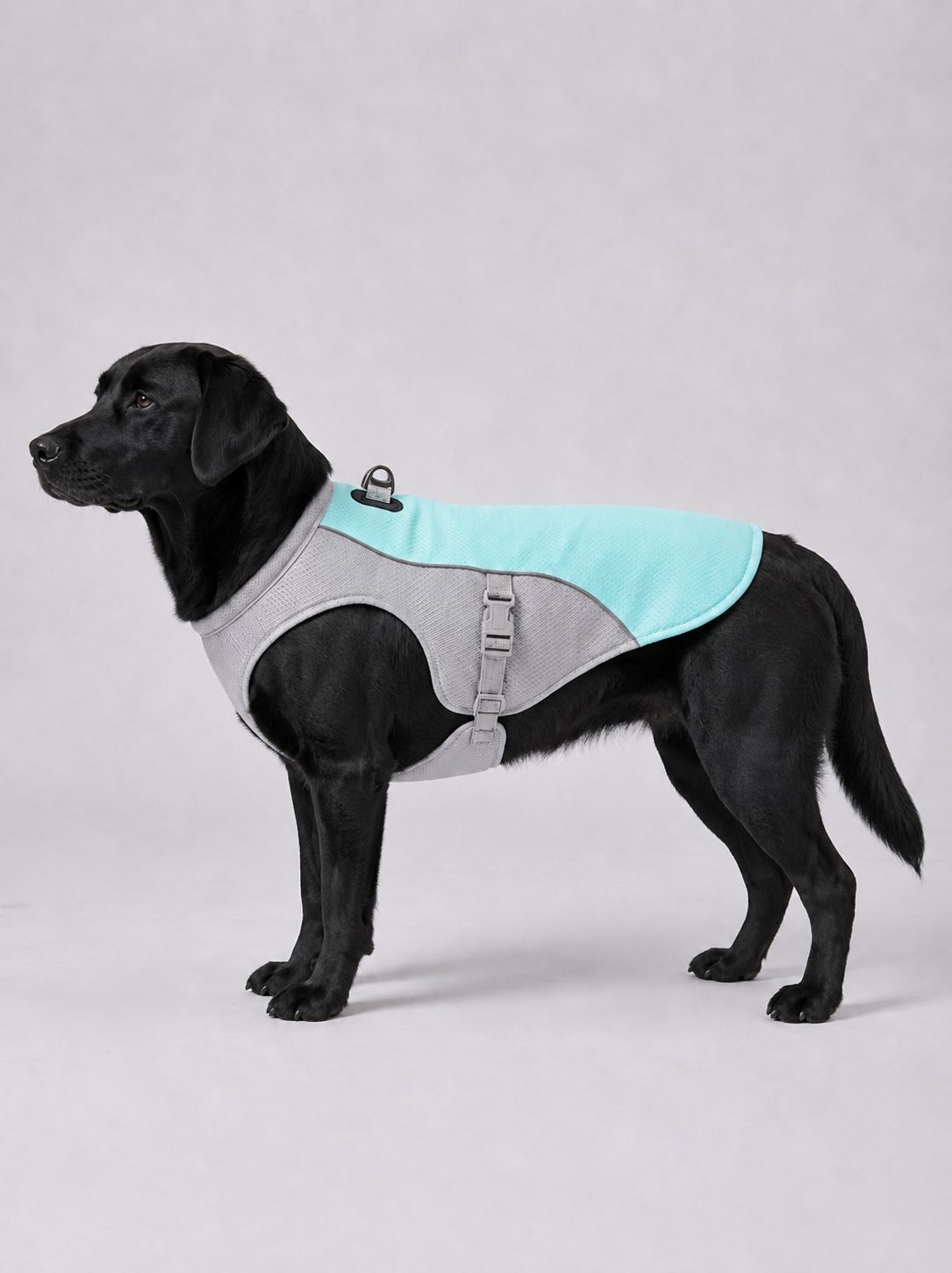 The Cooling Vest