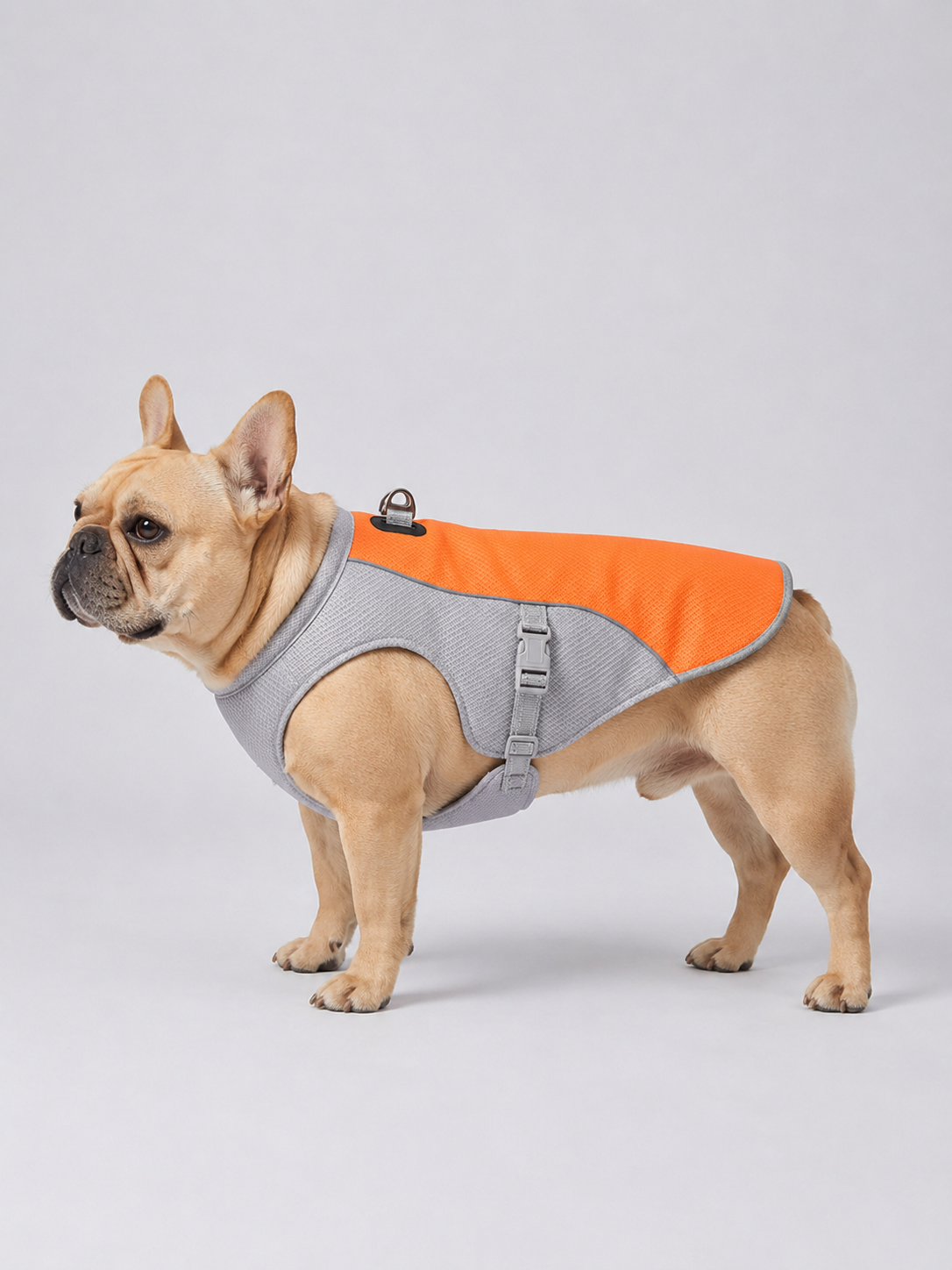 The Cooling Vest