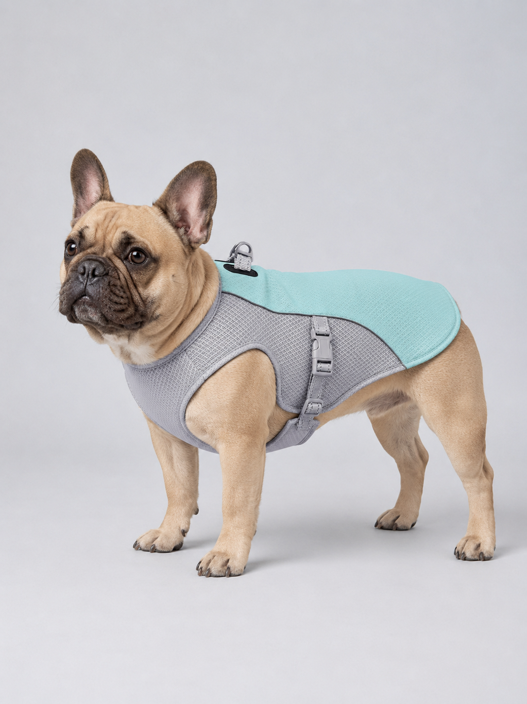 The Cooling Vest