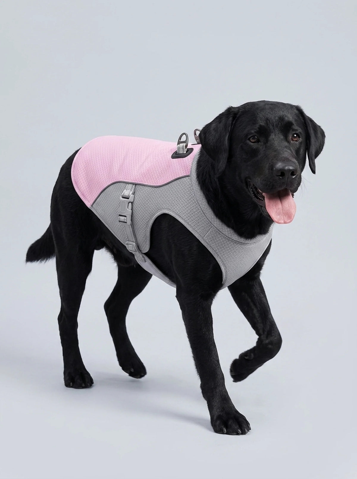 The Cooling Vest