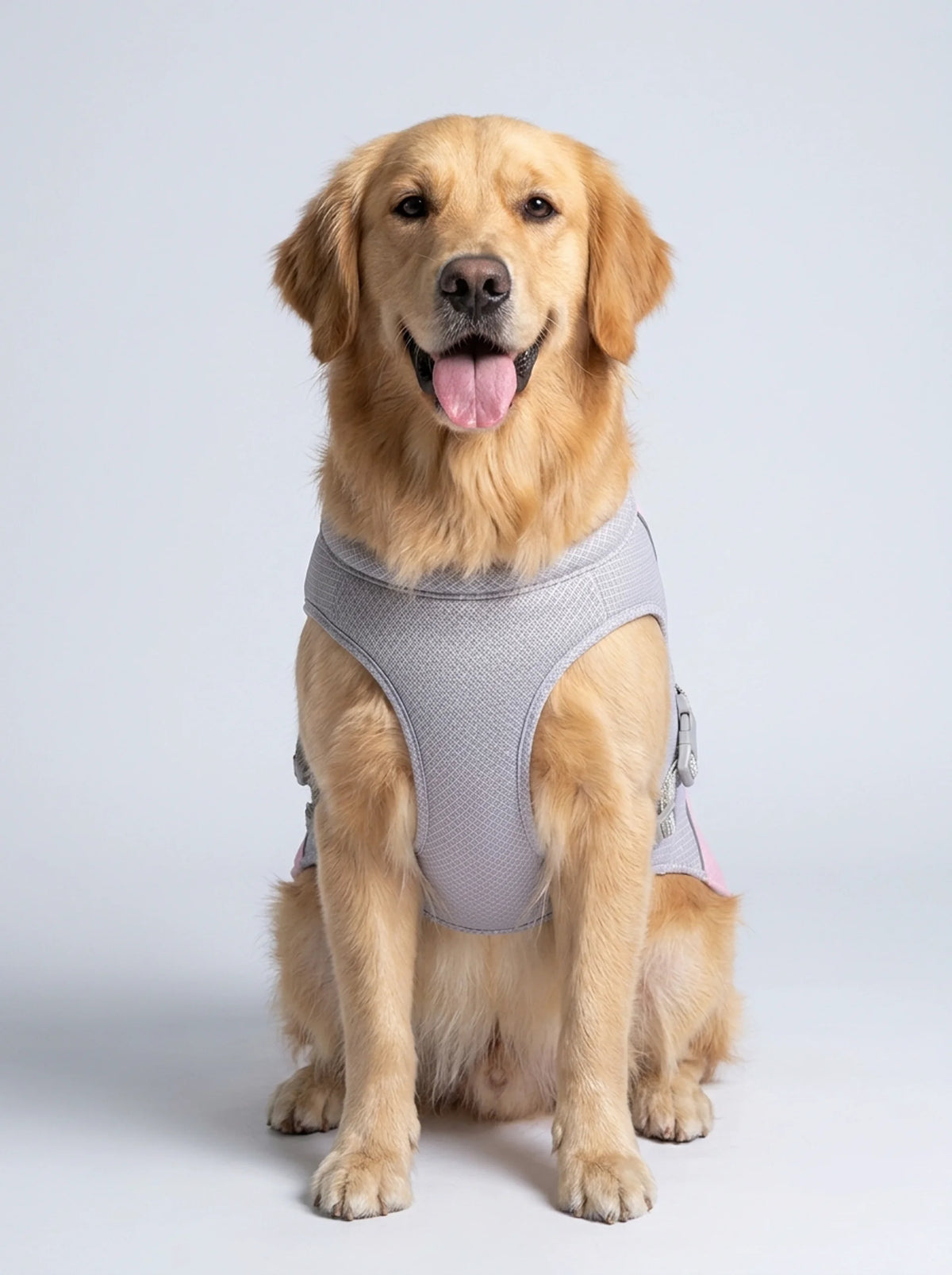 The Cooling Vest