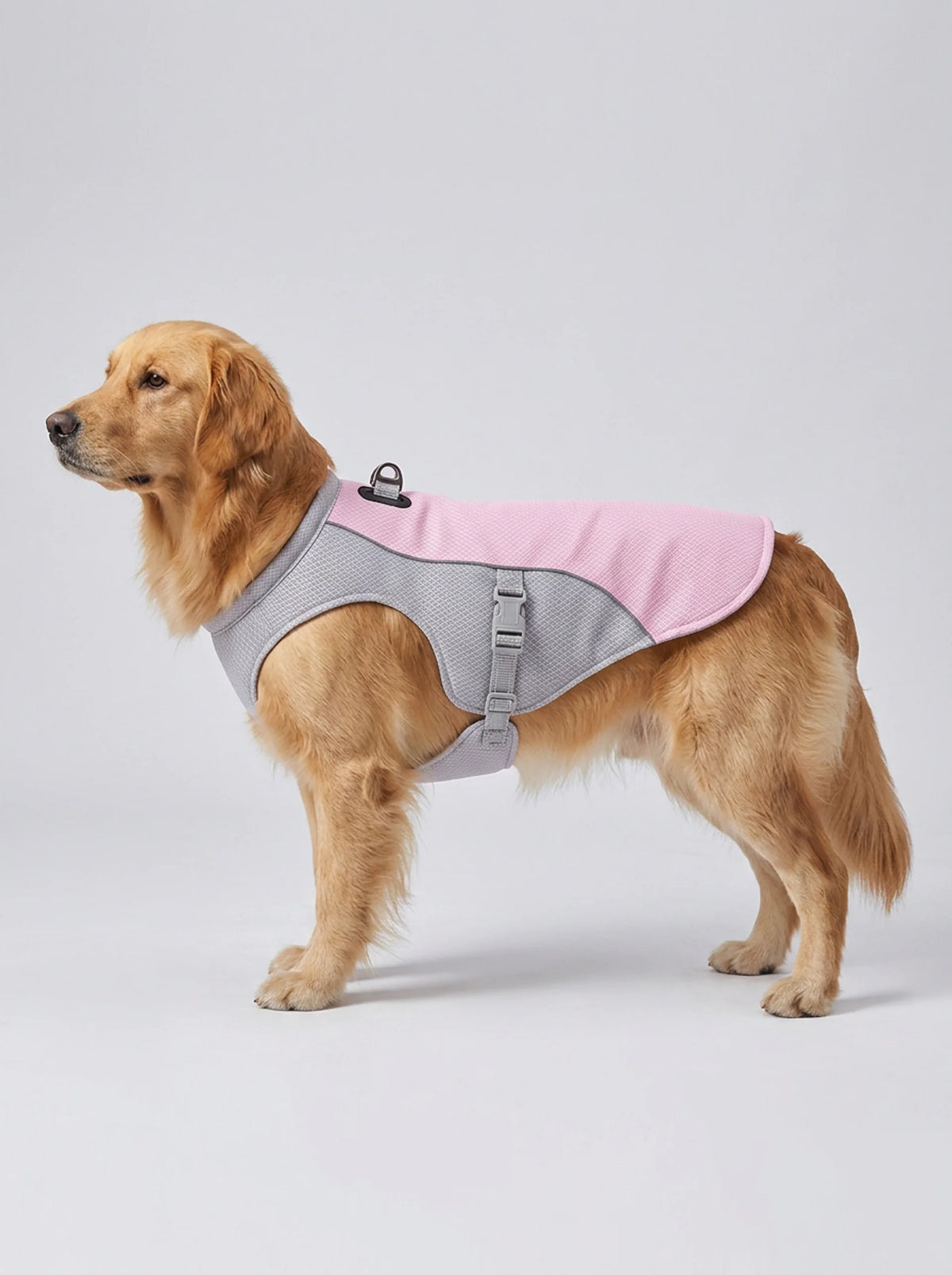 The Cooling Vest